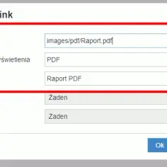 Jak zrobić link do pobrania pliku PDF i uniknąć problemów z udostępnianiem